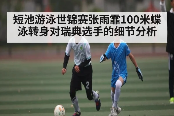 短池游泳世锦赛张雨霏100米蝶泳转身对瑞典选手的细节分析（WilliamHill）